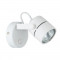 A1310AP-1WH