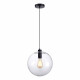 SL1056.423.01 Подвес ST-Luce Черный/Прозрачный E27 1*60W