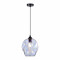 SL1188.413.01 Подвес ST-Luce Черный/Радужный E27 1*60W