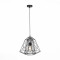 SL264.403.01 Подвес ST-Luce Черный/Черный E27 1*60W
