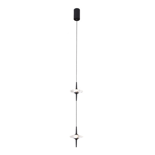 *SL6231.403.02 Светильник подвесной ST-Luce Черный/Прозрачный LED 2*5W 4000K