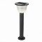 SL9502.405.01 Светильник уличный наземный ST-Luce Черный/Черный, Прозрачный LED 1*2W 3000-6000K