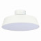 SLE600252-01 Светильник потолочный Белый/Белый LED 1*30W 3000K