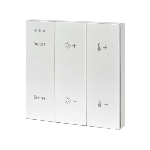 ST015.500.99 Беспроводная панель управления для SKYLINE 220/ SKYLINE 48 Белый