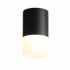 ST100.402.10 Светильник потолочный Черный LED 1*10W 3000K 780Lm Ra>80 120° D78xH135 170-240VV