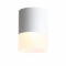 ST100.502.15 Светильник потолочный Белый LED 1*15W 3000K 1 170Lm Ra>80 120° D118xH150 170-240V