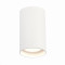 ST157.532.20 Светильник потолочный Белый LED 1*20W 3000K 1 600Lm Ra>90 60° IP44 D95xH150 220-265V