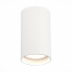 ST157.542.20 Светильник потолочный Белый LED 1*20W 4000K 1 600Lm Ra>90 60° IP44 D95xH150 220-265V