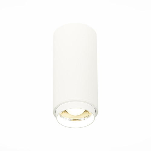 ST600.542.10 Светильник потолочный Zoom Белый LED 1*10W 4000K 1 000Lm Ra>80 15-60° IP20 D59xH130 170