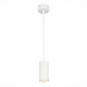 ST600.543.10 Светильник подвесной Zoom Белый LED 1*10W 4000K 1 000Lm Ra>80 15-60° IP20 D59xH130 170-
