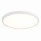 ST601.532.32 Светильник настенно-потолочный Белый LED 1*32W 3000K 2 880Lm Ra>80 120° IP20 D400xH25 1