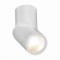 ST650.542.10 Светильник потолочный Белый LED 1*10W 4000K 800Lm Ra>90 38° IP44 D62xH151 165-265V