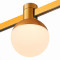 ST815.206.05 Магнитный трековый светильник FARM Золотистый LED 1*5W 3000K 89Lm Ra90 120 IP20 D75xH10
